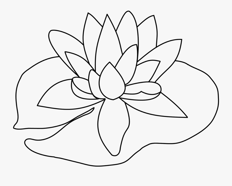 Thumb Image - Lily Pad Flower Drawing, Transparent Clipart