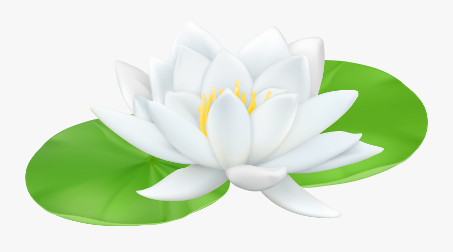 Water Lily Clip Art, Transparent Clipart