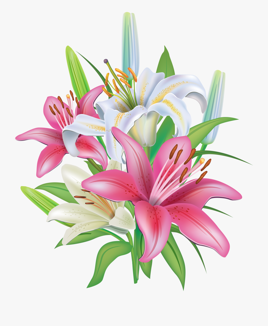 Lilies Flowers Decoration Png Clipart Image - Lily Flower Clip Art, Transparent Clipart