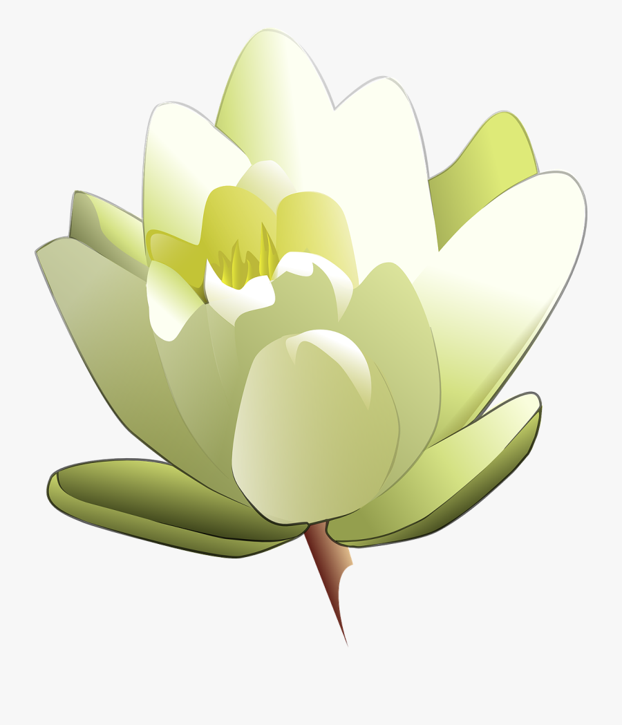 Lily Bouquet Clipart, Vector Clip Art Online, Royalty - Water Lily Clipart, Transparent Clipart