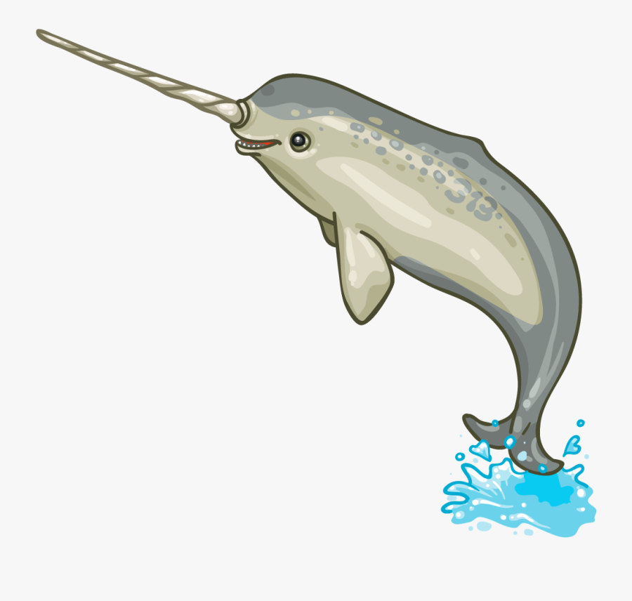 Norman The Narwhal - Narwal Png, Transparent Clipart