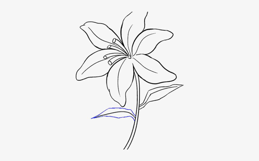 Simple Lily Clipart, Transparent Clipart