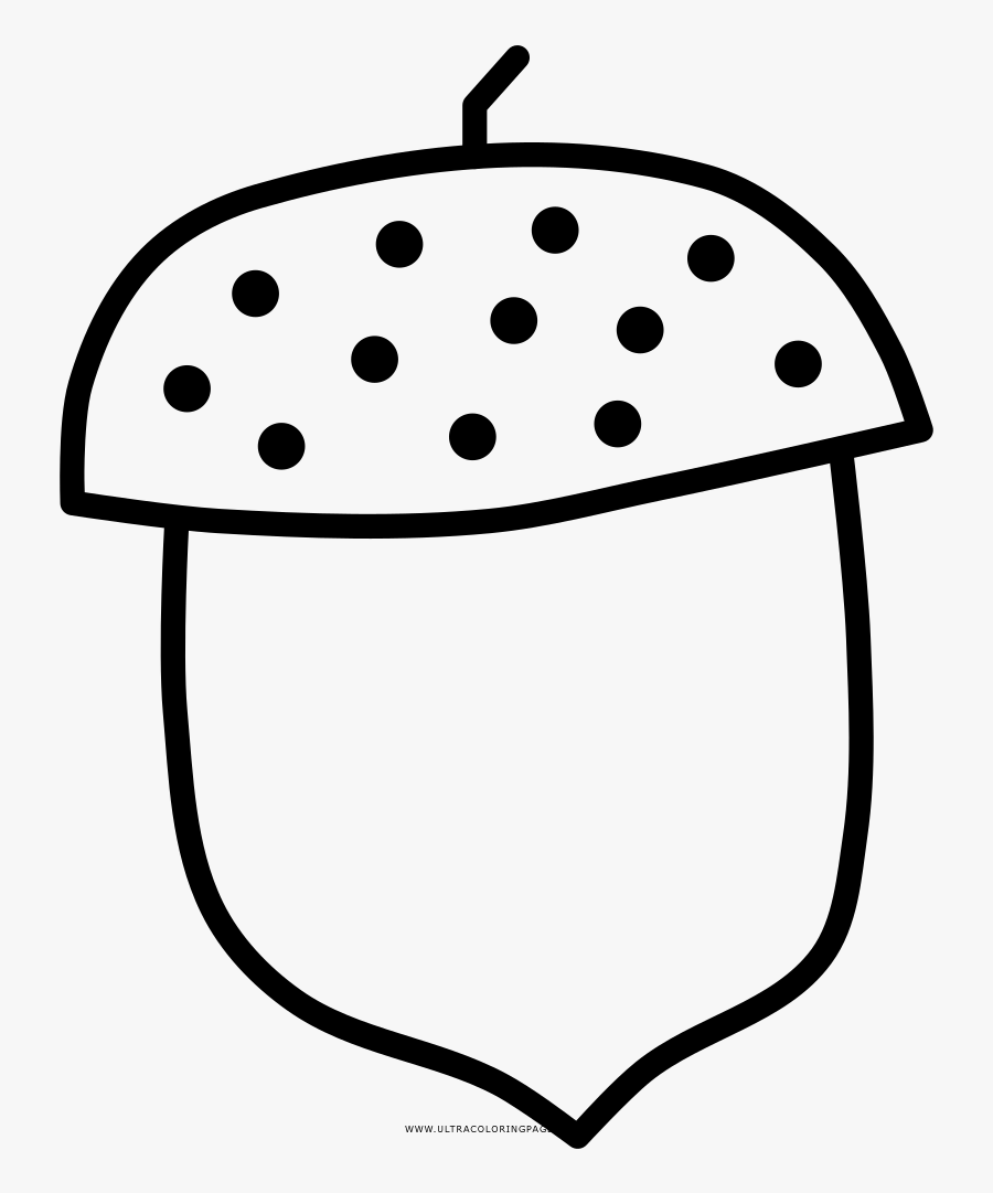 Acorn Coloring Page, Transparent Clipart