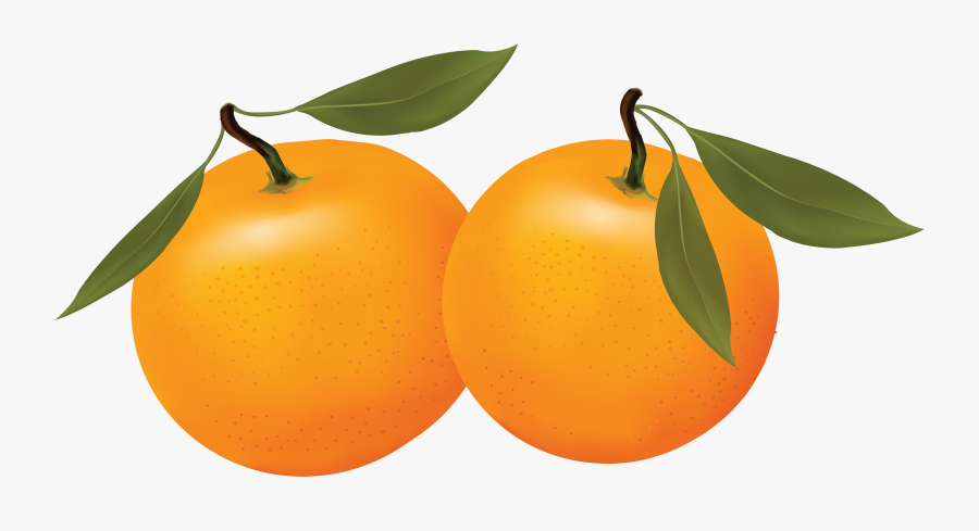Orange - Clipart - Orange Fruit Clipart, Transparent Clipart