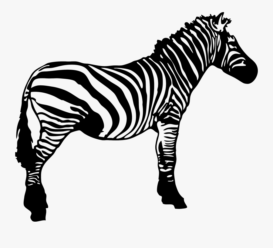 Thumb Image - Zebra Black And White Clipart, Transparent Clipart