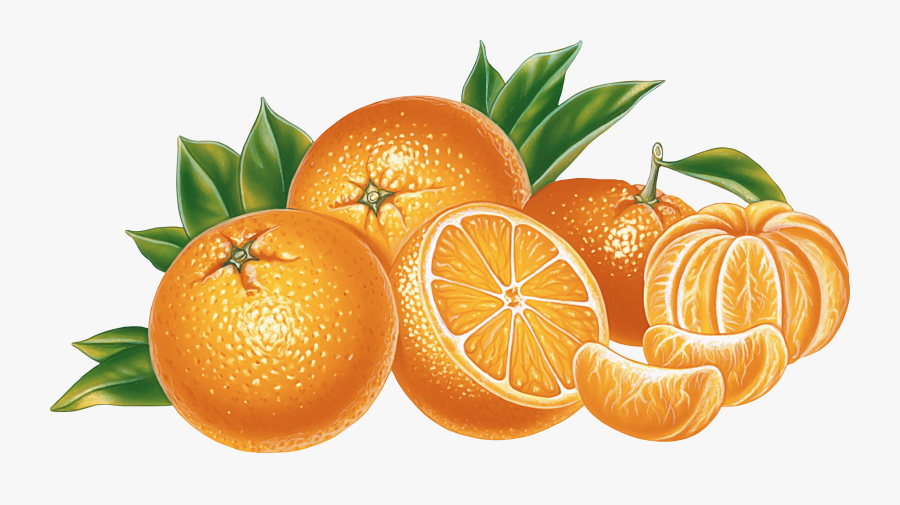 Orange Png Image, Free Download - Oranges Transparent Background, Transparent Clipart