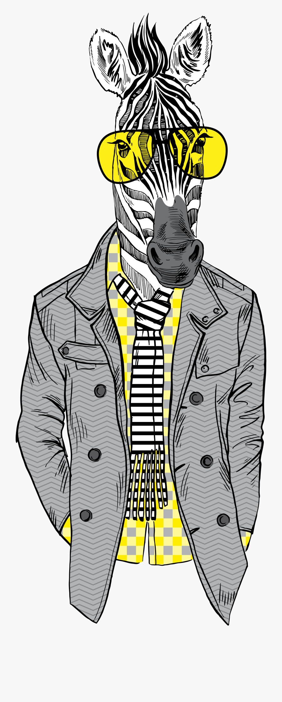 Bespectacled Horse Fashion Zebra Illustration Free - Zebra Wearing Jacket, Transparent Clipart