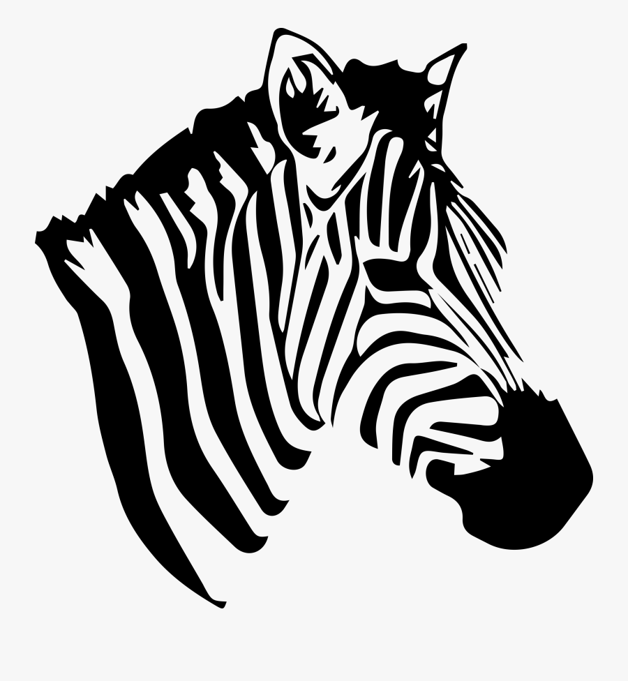 Zebra , Free Transparent Clipart - ClipartKey