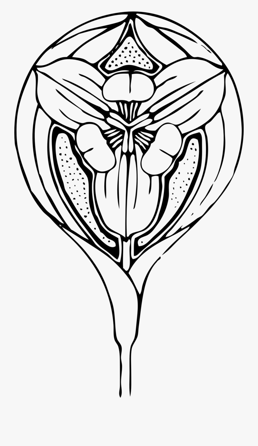 Tulip Design Svg Clip Arts - Flowers Drawings Art Nouveau, Transparent Clipart