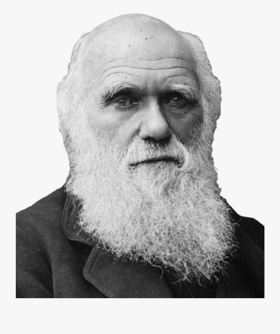 Charles Darwin Portrait - Charles Darwin, Transparent Clipart