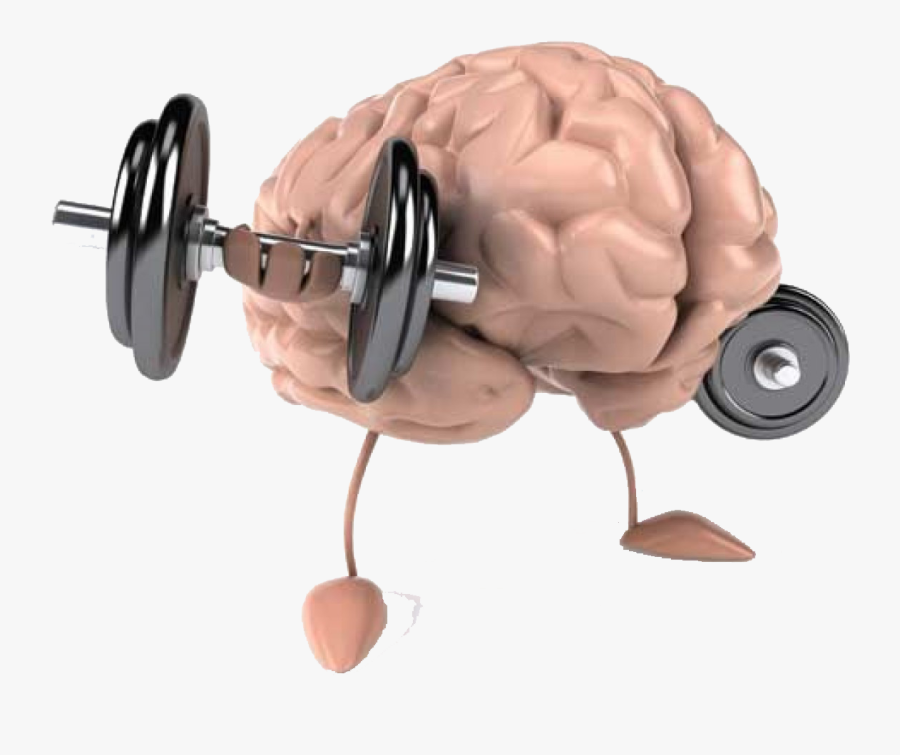 Transparent Strong Brain Clipart - Brain Muscle, Transparent Clipart