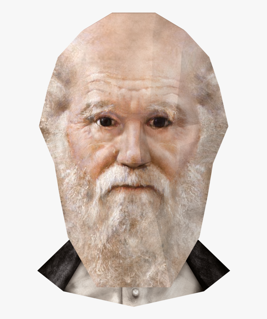 Transparent Einstein Hair Png - Charles Darwin Png, Transparent Clipart