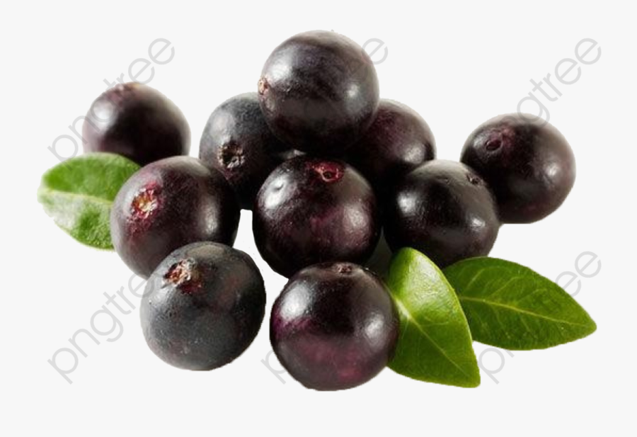Berry - Acai Fruit Png, Transparent Clipart
