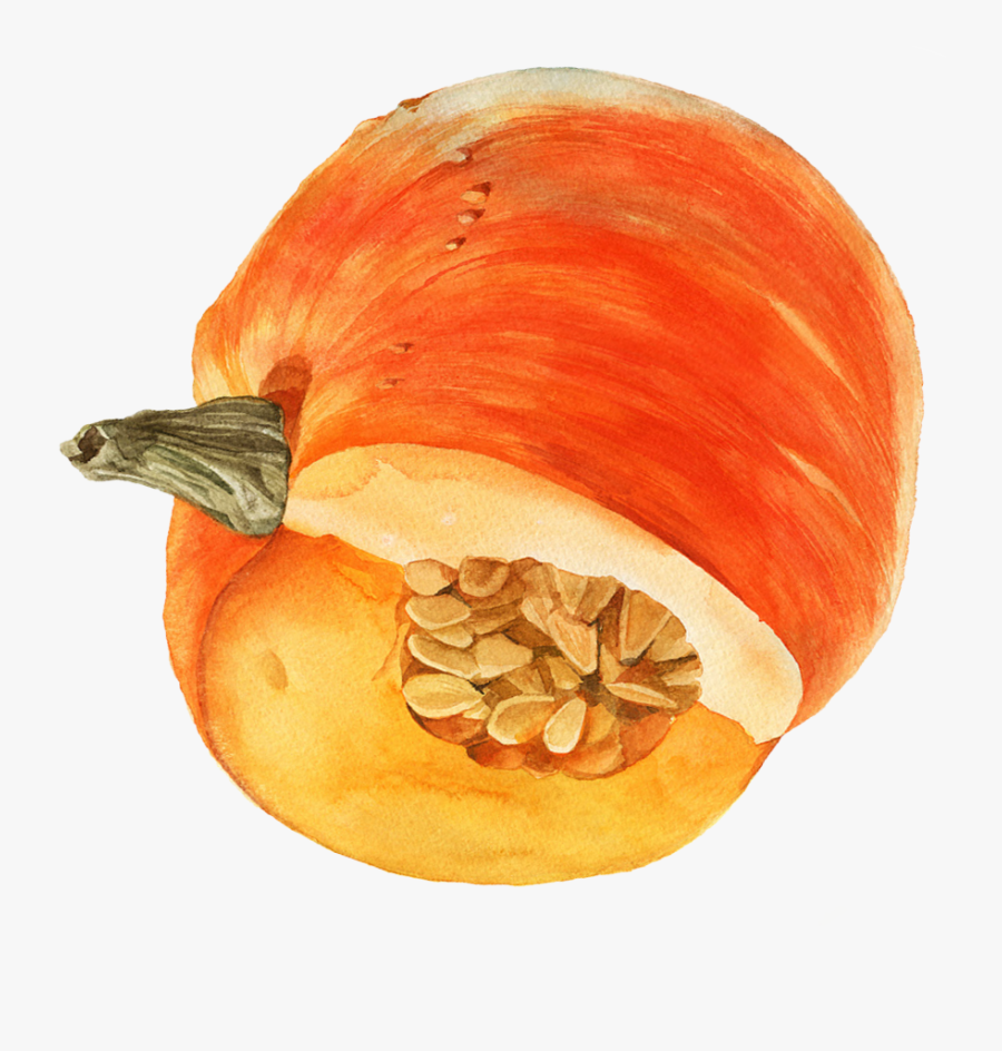 Transparent Watercolor Pumpkin Png - Pumpkin, Transparent Clipart