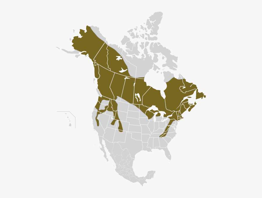 Edwards Plateau On Us Map, Transparent Clipart