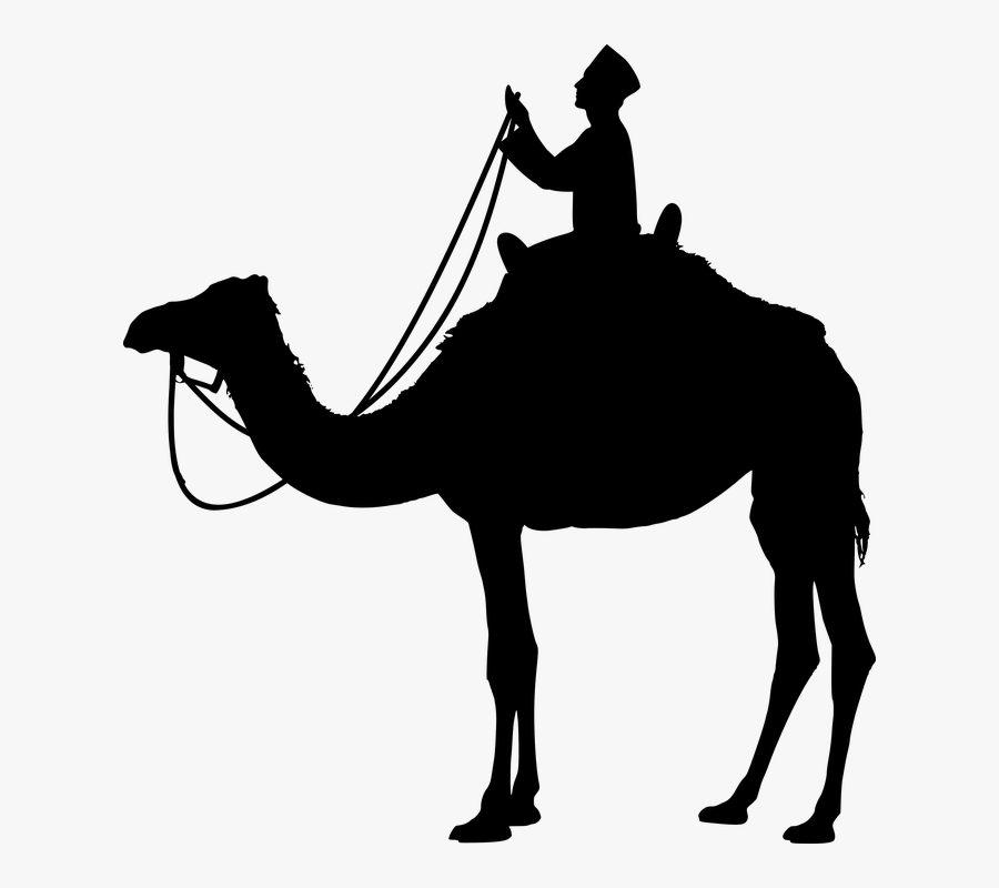 Africa, African, Animal, Arab, Bedouin, Camel, Caravan - Gambar Unta Kartun Hitam, Transparent Clipart