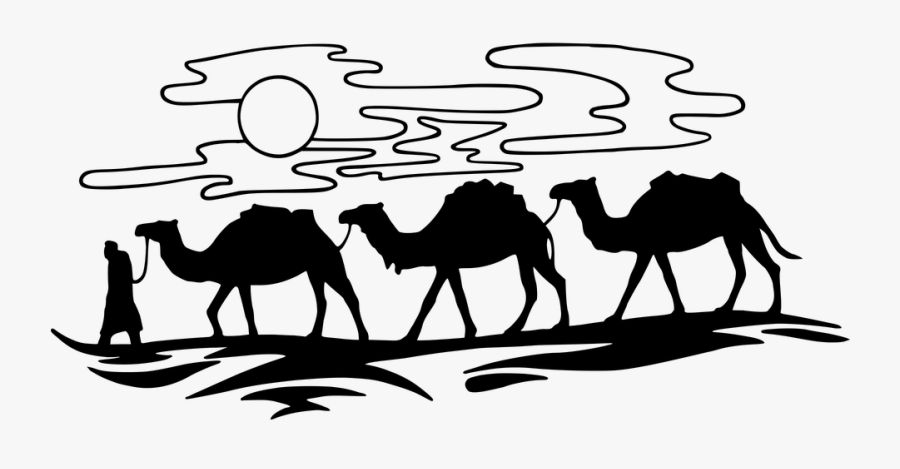 Caravan, Camels, Desert, Sunset, Dromedary, Tuareg - Desenhos De Camelos No Deserto, Transparent Clipart