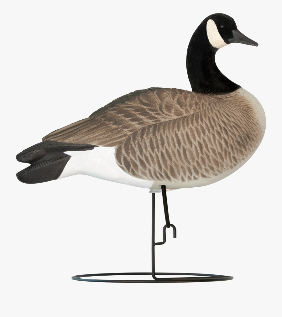 Transparent Goose Head Png - Goose Decoy Silhouette Sentry, Transparent Clipart