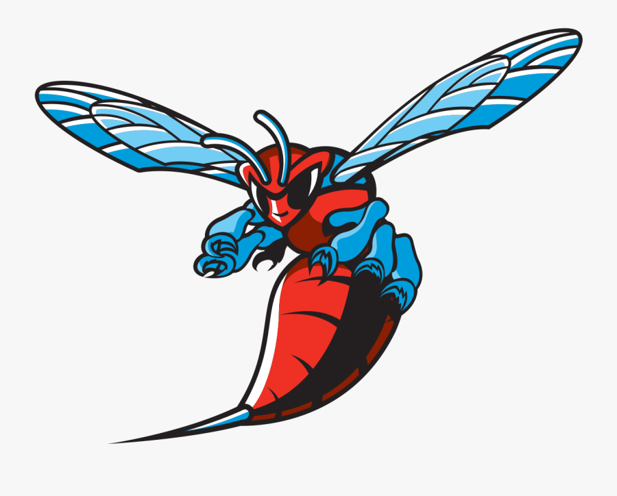 Delaware State Hornets, Transparent Clipart