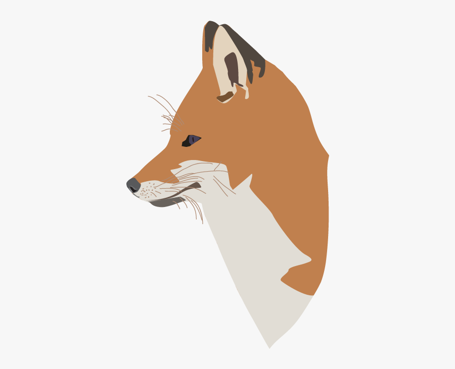 Red Fox, Transparent Clipart