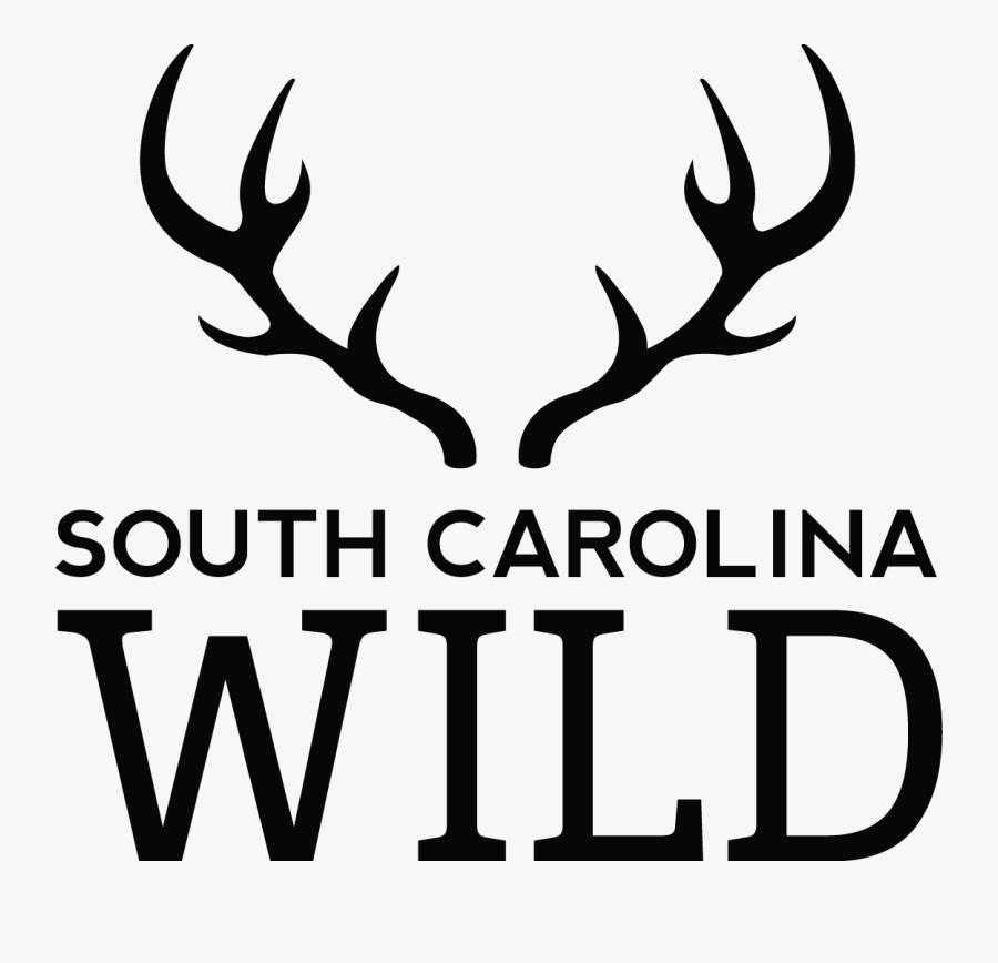 South Carolina Department Of Natural Resources Deer - South East Europe Programme, Transparent Clipart