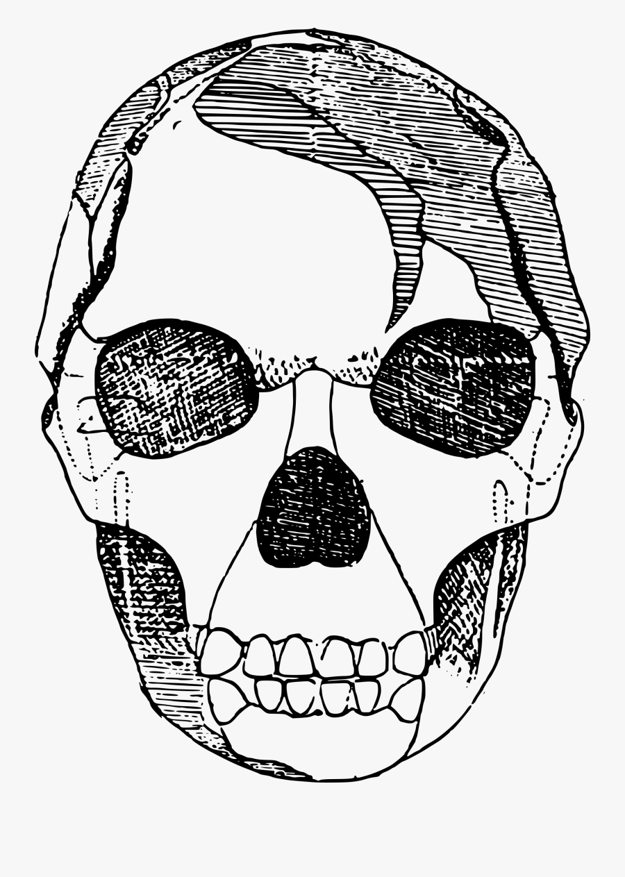 Basic Skull Clip Arts - Death Sketch Png, Transparent Clipart