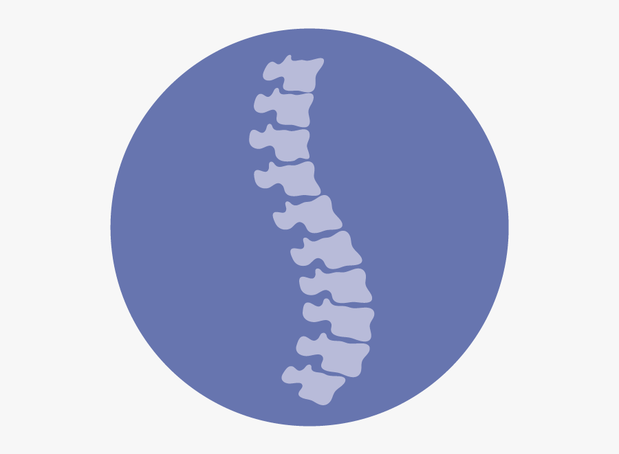 Physical Therapy For Neck And Low Back Pain Clipart - Spinal Cord Injury Icon, Transparent Clipart