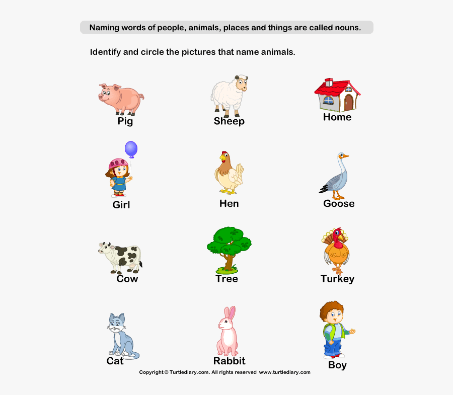 Grade 1 Naming Words Worksheet Free Transparent Clipart ClipartKey