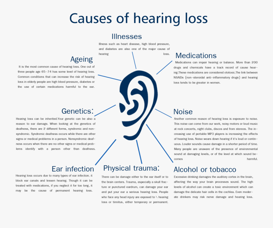 Cells Clipart Non - Causes Of Hearing Impairment, Transparent Clipart