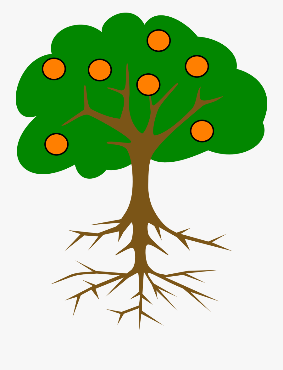 Green Tree With Roots, Transparent Clipart