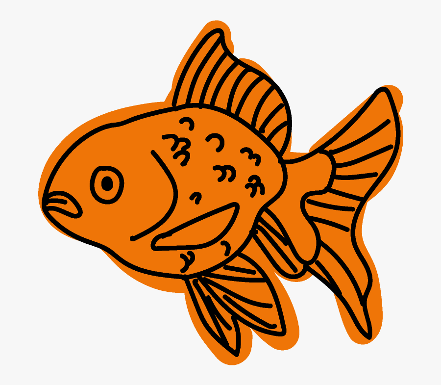 University Of North Texas Biol 1760 Lab Presentation - Coral Reef Fish, Transparent Clipart