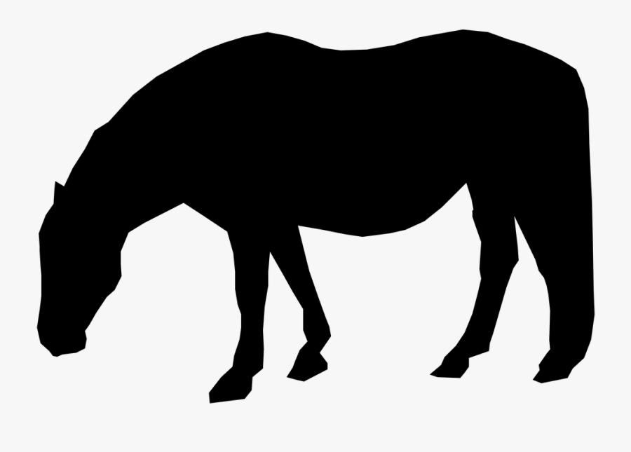Silhouette Horse Field Free Photo - Mare, Transparent Clipart