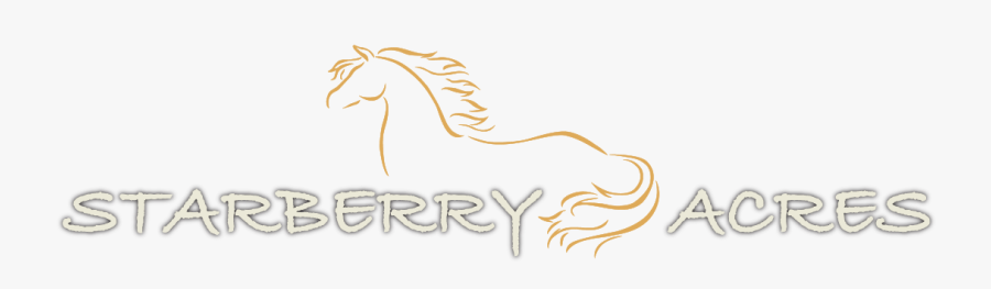 Starberry Acres - Stallion, Transparent Clipart