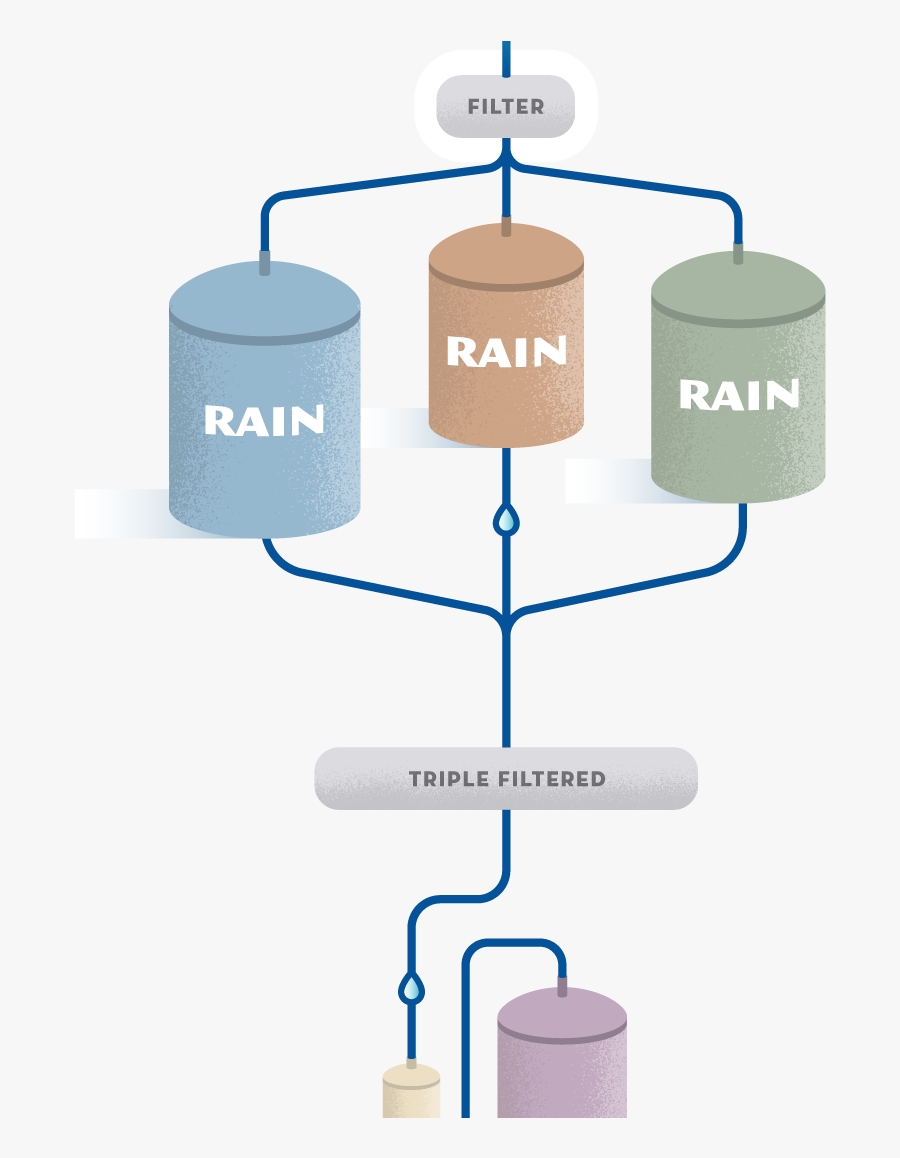 Richard Rainwater Process, Transparent Clipart