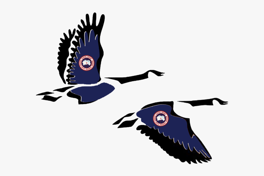 Canada Goose, Transparent Clipart
