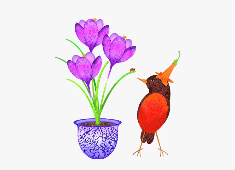 Snow Crocus, Transparent Clipart