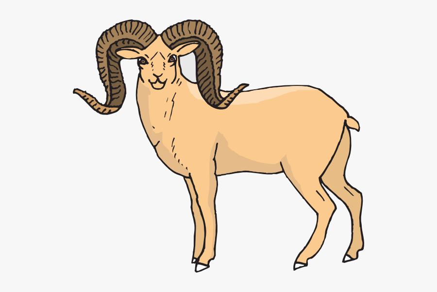 Bighorn Sheep Clip Art , Free Transparent Clipart - ClipartKey