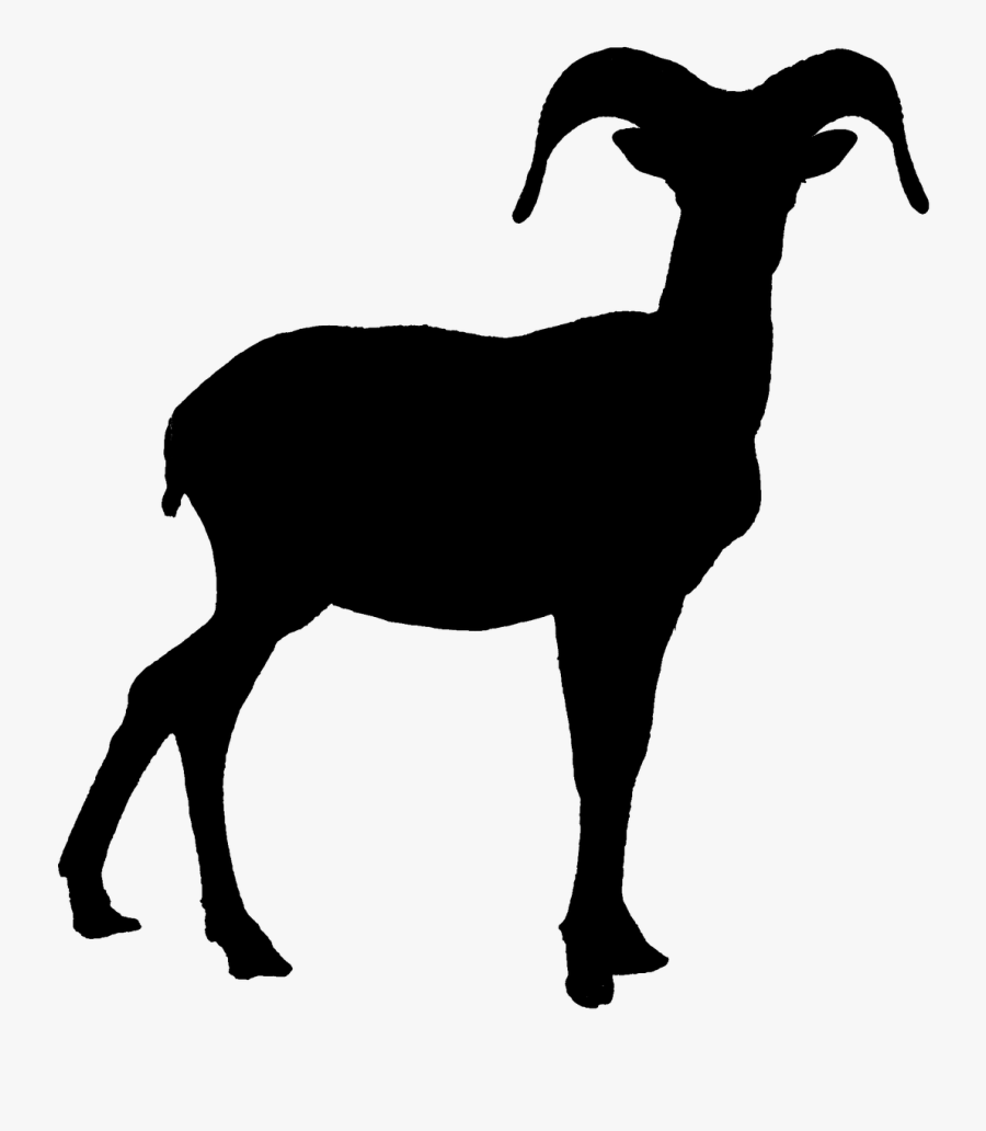 Transparent Goat Silhouette Png - Bighorn Sheep Black And White, Transparent Clipart