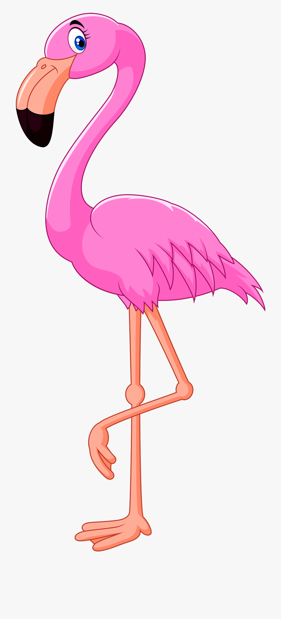 Transparent House On Fire Clipart - Transparent Background Flamingo Clipart, Transparent Clipart