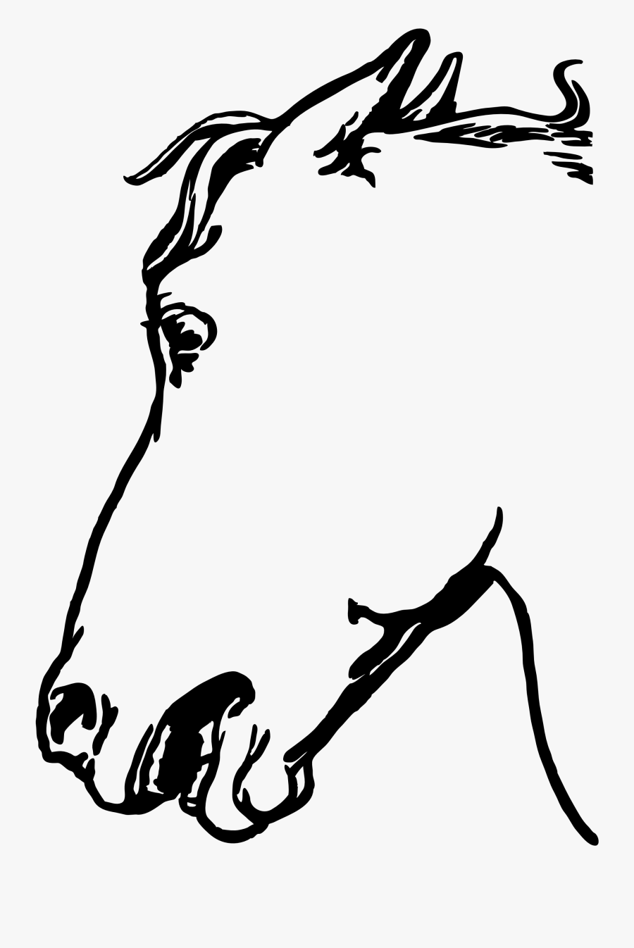 Horsehead - Gambar Sketsa Kepala Kuda, Transparent Clipart