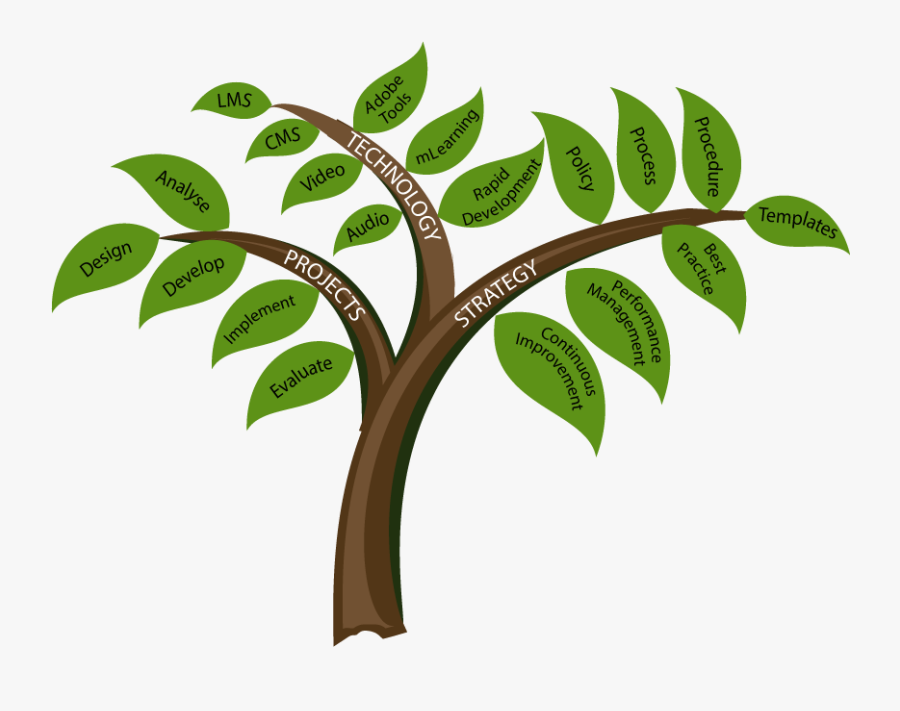 Learning And Development Tree, Transparent Clipart