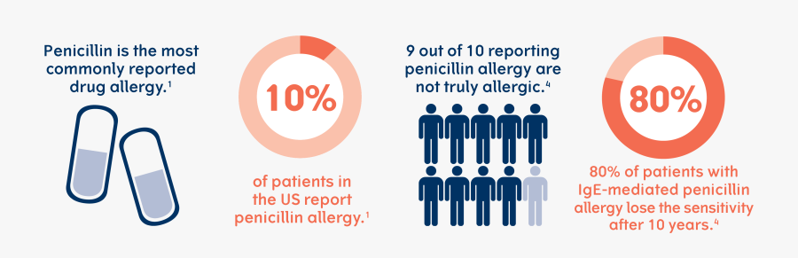 Penicillin Information , Free Transparent Clipart - ClipartKey