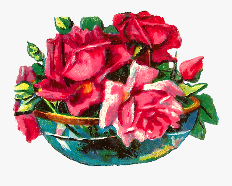Pink Roses Are The Best Flower Images For Shabby Chic - Rose, Transparent Clipart
