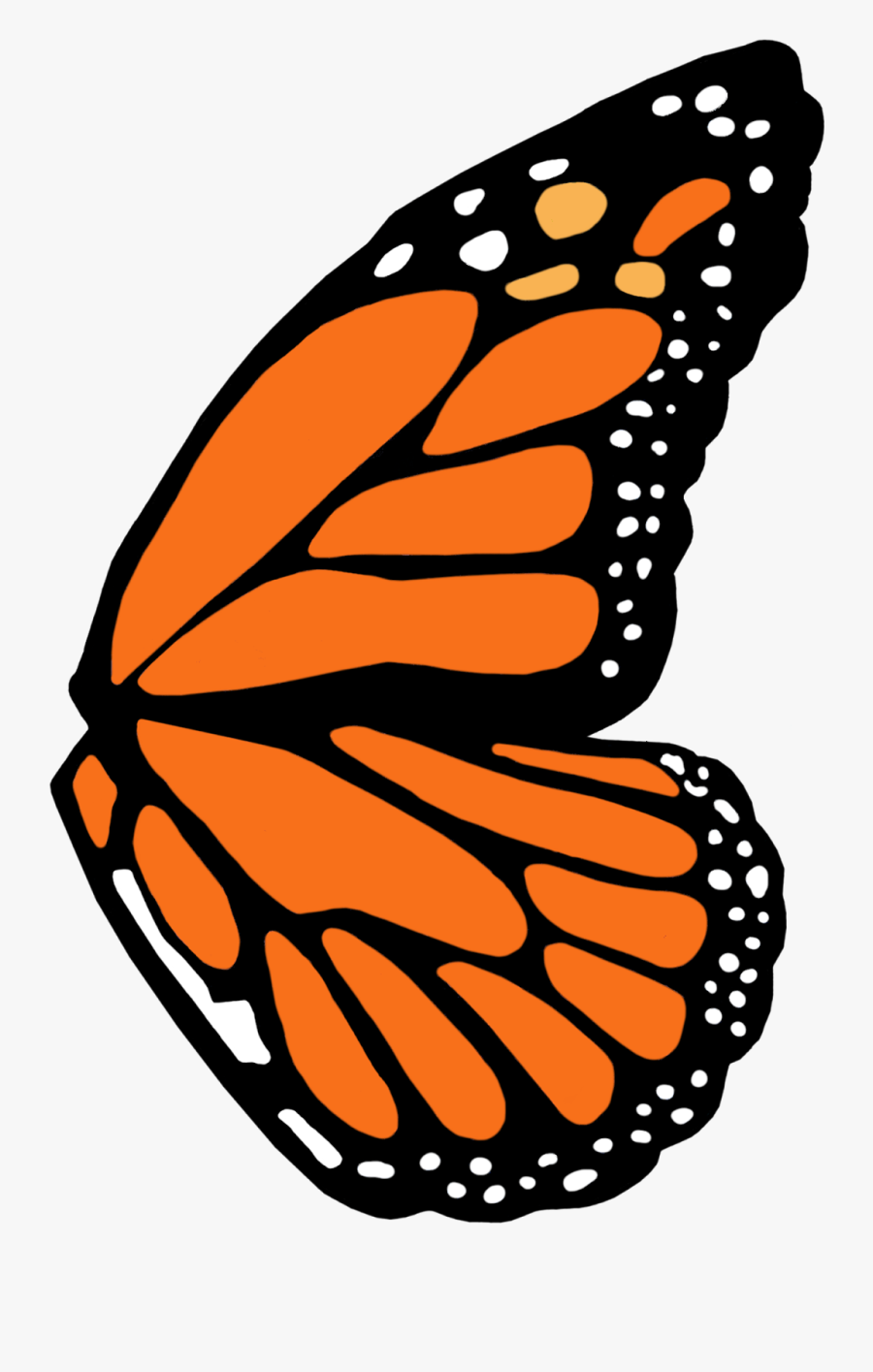 Transparent Tinkerbell Wings Png - Monarch Butterfly Wing Template, Transparent Clipart
