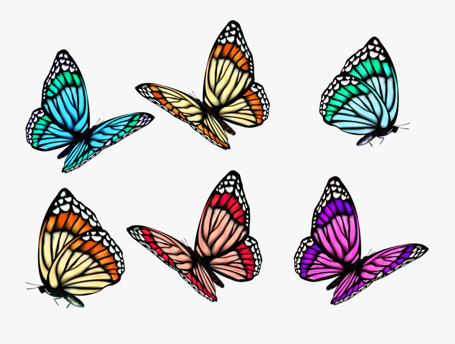 3d Butterfly Tattoo Vector, Transparent Clipart