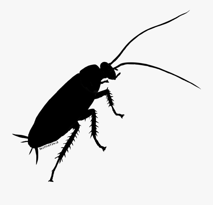 Cockroach Beetle Weevil Clip Art Silhouette, Transparent Clipart