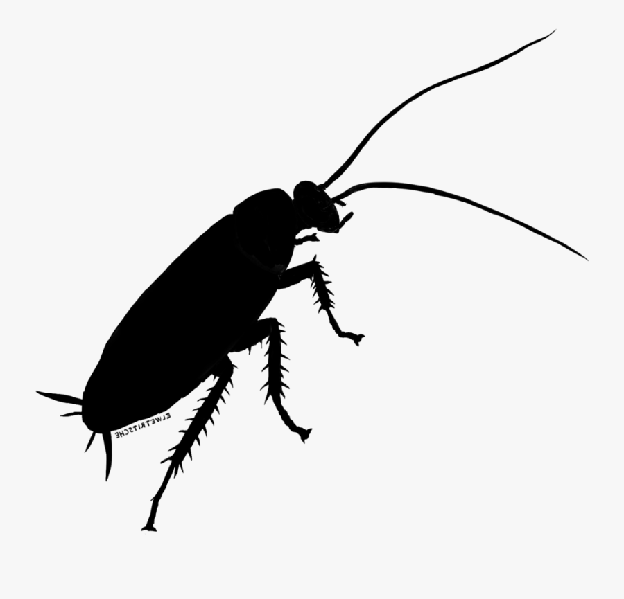 Cockroach Beetle Weevil Clip Art Silhouette , Free Transparent Clipart