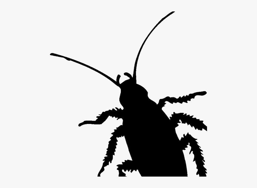 Cockroach Insect Pest Silhouette Clip Art - Cockroach Silhouette Png, Transparent Clipart