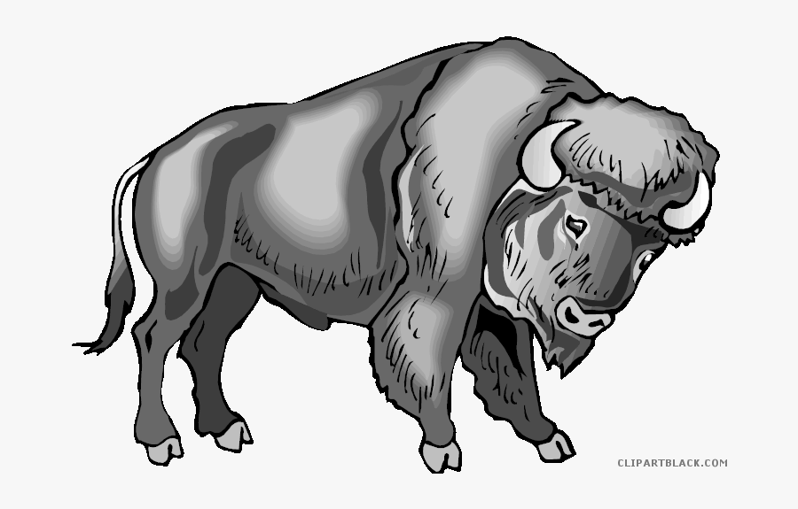 Water Buffalo Clip Art Portable Network Graphics Image - Animal Templates Buffalo Printables, Transparent Clipart