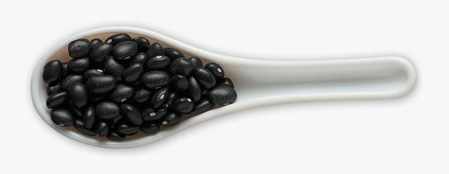 Beans Png Images Free - Black Bean Png, Transparent Clipart